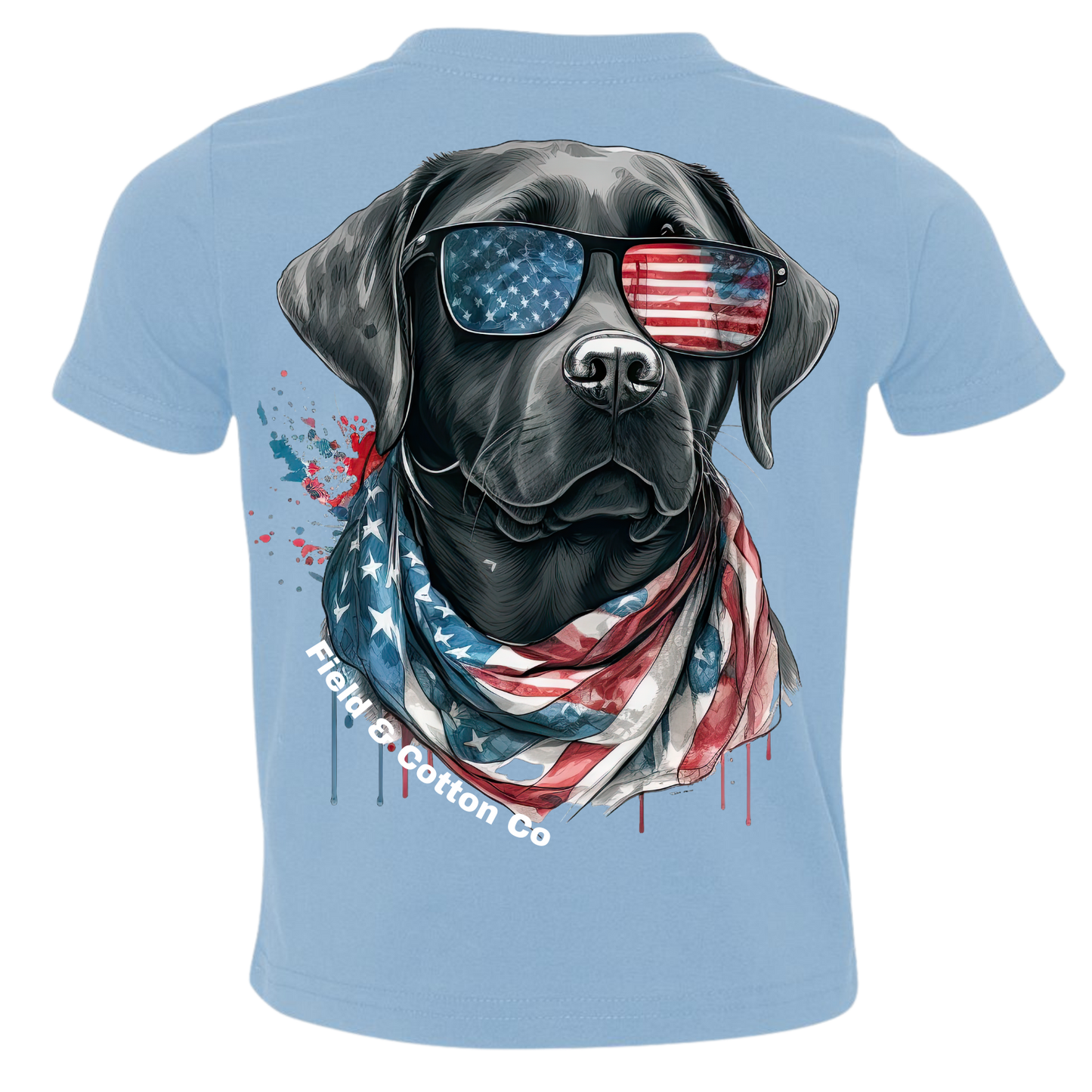 American Labrador