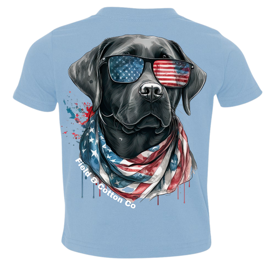 American Labrador